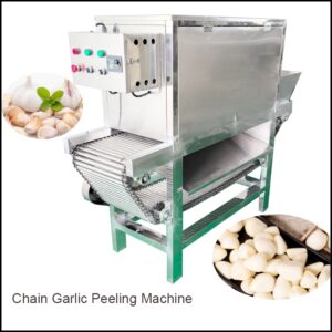 chain garlic peeling machine