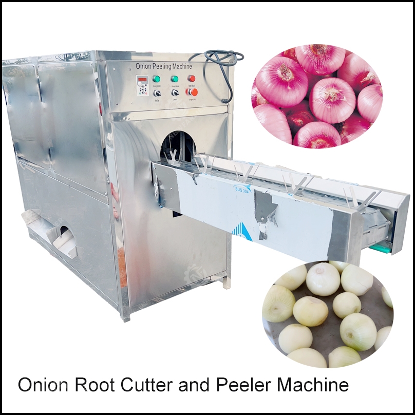 Onion Root Cutter and Peeler Machine