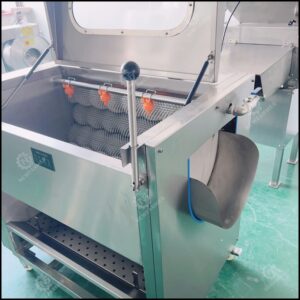 brush type carrot washing machine