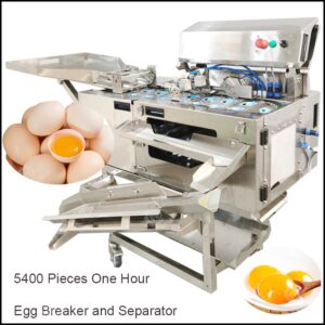 egg separator