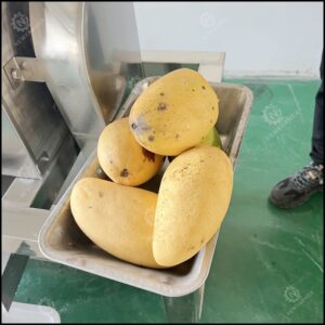 mango pulping machine