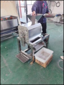 mango pulping machine