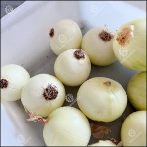 Onion Peeling Machine