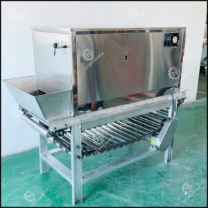 Onion Peeling Machine